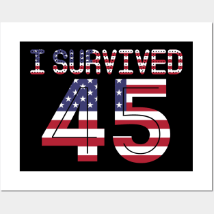 I survived 45 Posters and Art